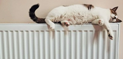 ask stanley about radiators, he only wants it to be warm!